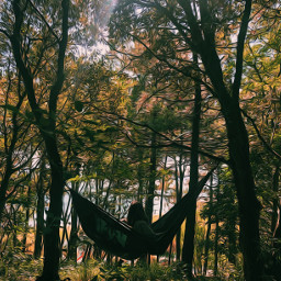 hammock relax love forest peace freetoedit