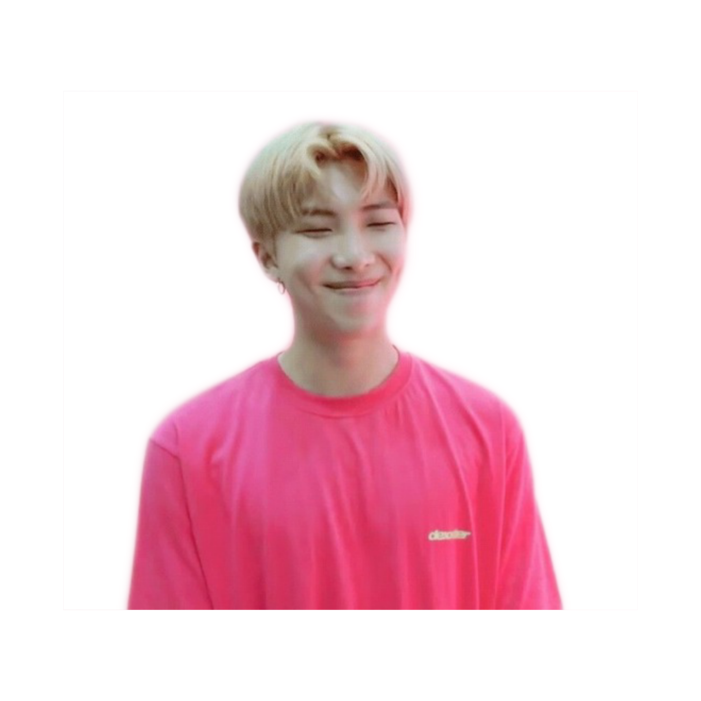 namjoon bts btsnamjoon pink sticker by @xenophyophore