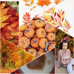 ccautumnmoodboard autumnmoodboard moodboard autumn collage