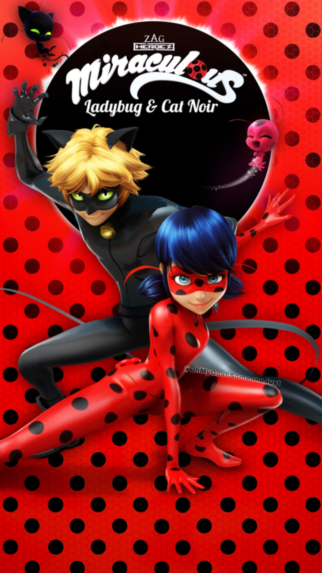 Ladybug And Chat Noir This Is The Background From Mir