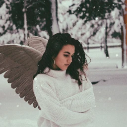 freetoedit girl wings stenciler4 winter ircinthesnow inthesnow