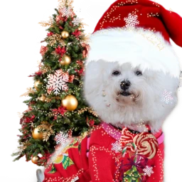 christmasdog freetoedit scuglychristmassweater uglychristmassweater