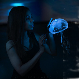freetoedit jellyfish blue