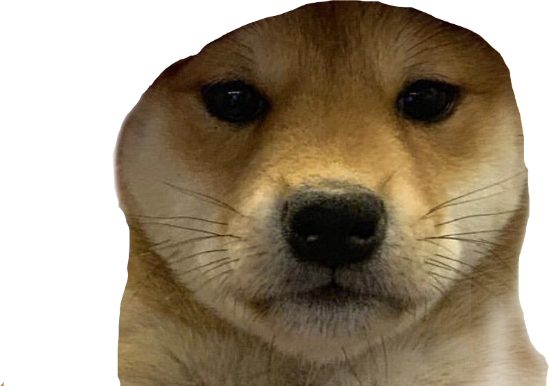 Dogwifhat Template Transparent Png Dogwifhat Dog Icon vrogue.co