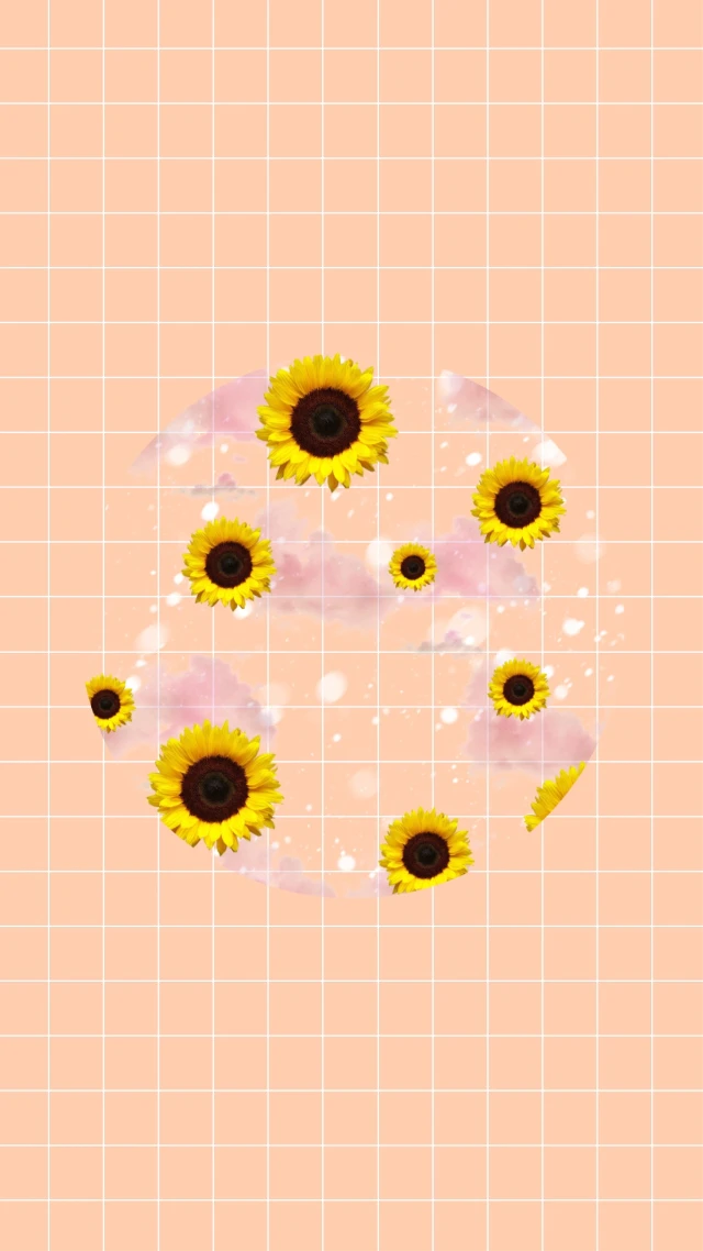 Desktop Background Sunflower Background Aesthetic