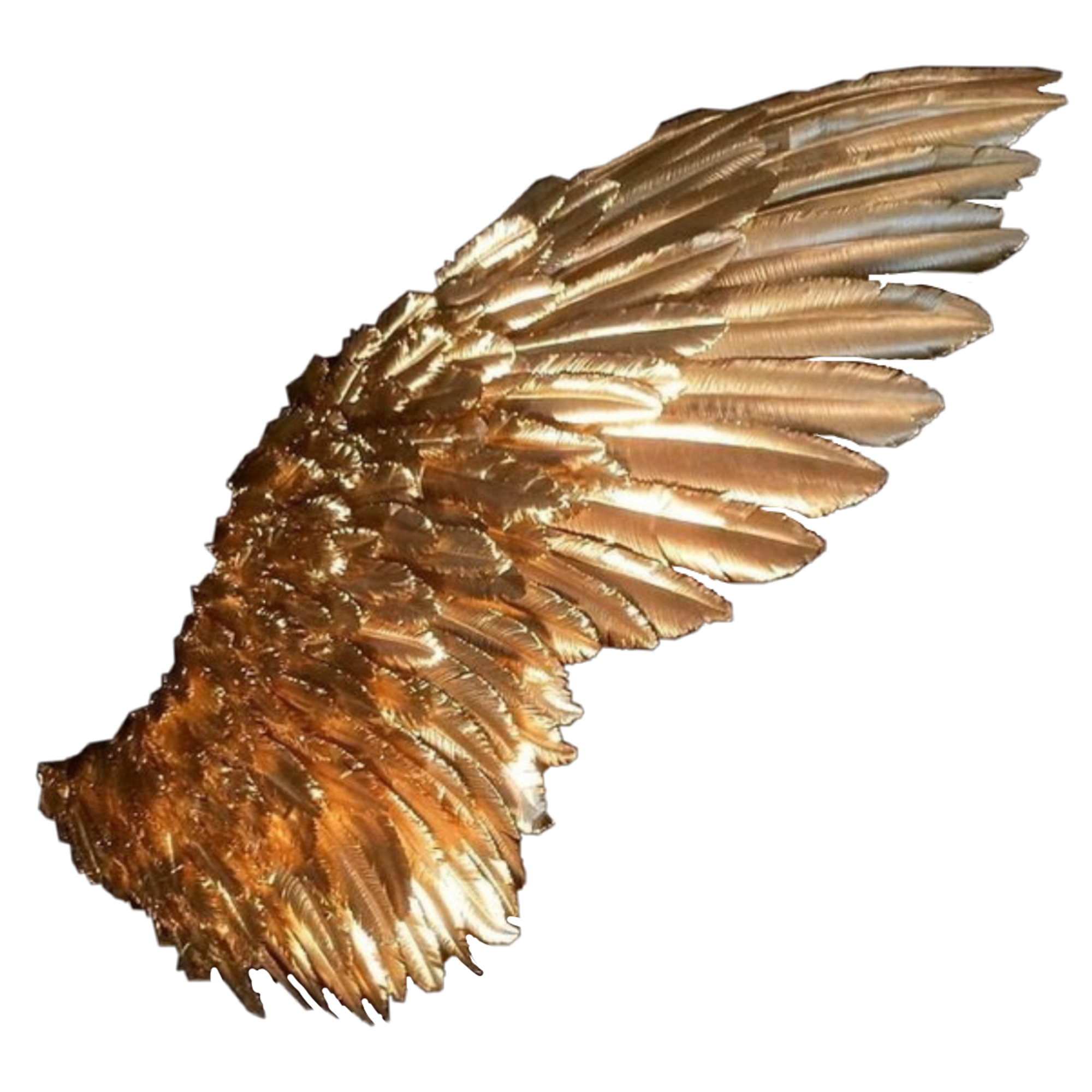 Золотистые крылья. Золотые Крылья ангела. Золотые ангельские Крылья. Золотые Крылья на белом фоне.