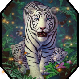 tiger love freetoedit