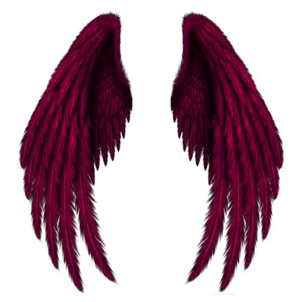 freetoedit wings wing angel devil demon sticker by @broomo2