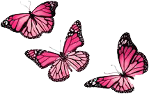 butterfly mariposa grunge aesthetic sticker by @akrep777