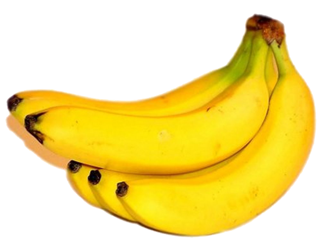 fruits fruit bananas banana monkey sticker by @broomo2