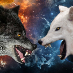 freetoedit wolf fight duel evil