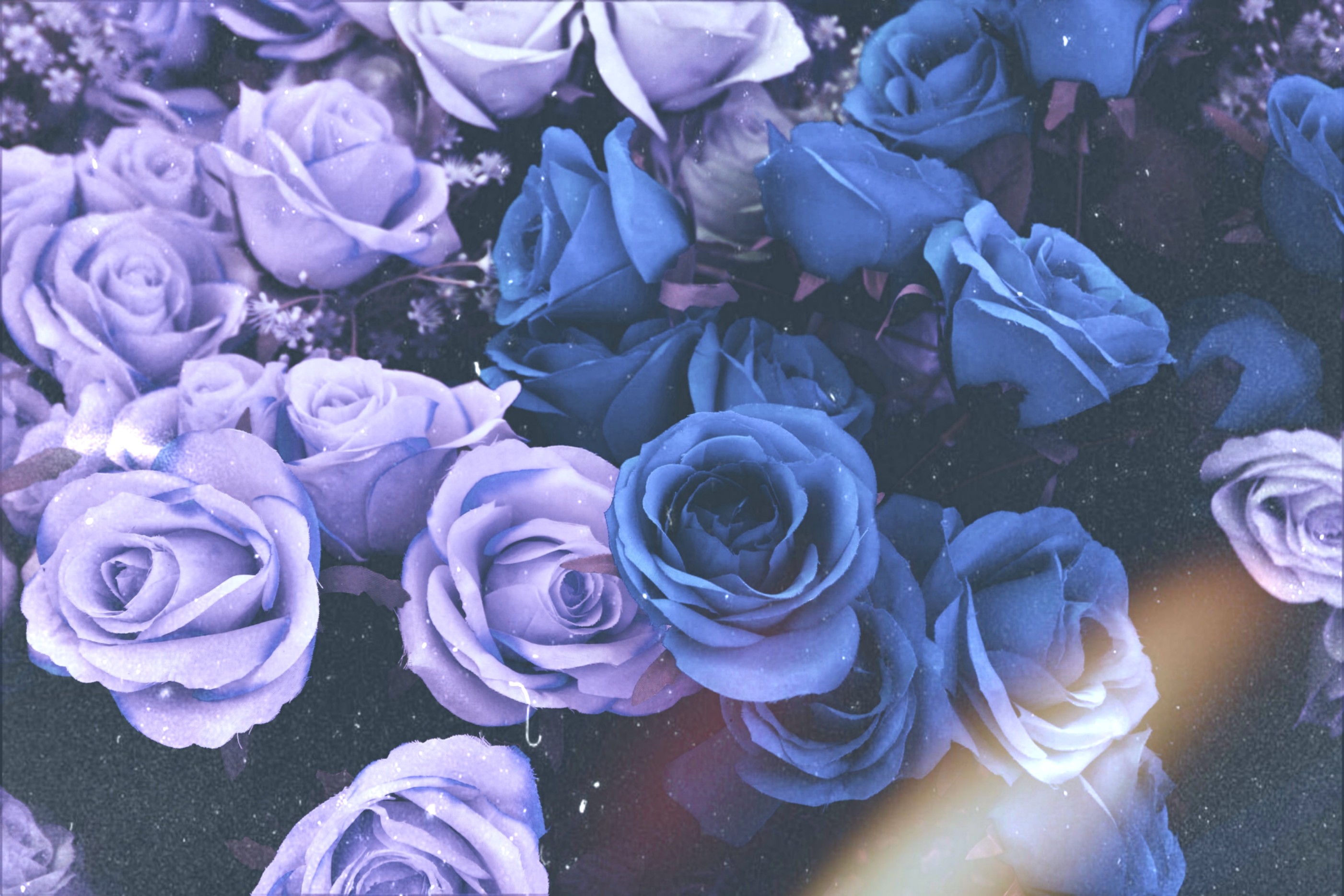 Flowers aesthetic. Цветы Эстетика. Цветы Эстетика з. Обои цветы Эстетика. Мокрые цветы Эстетика.