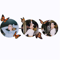 butterfly butterflies aesthetic timeline freetoedit