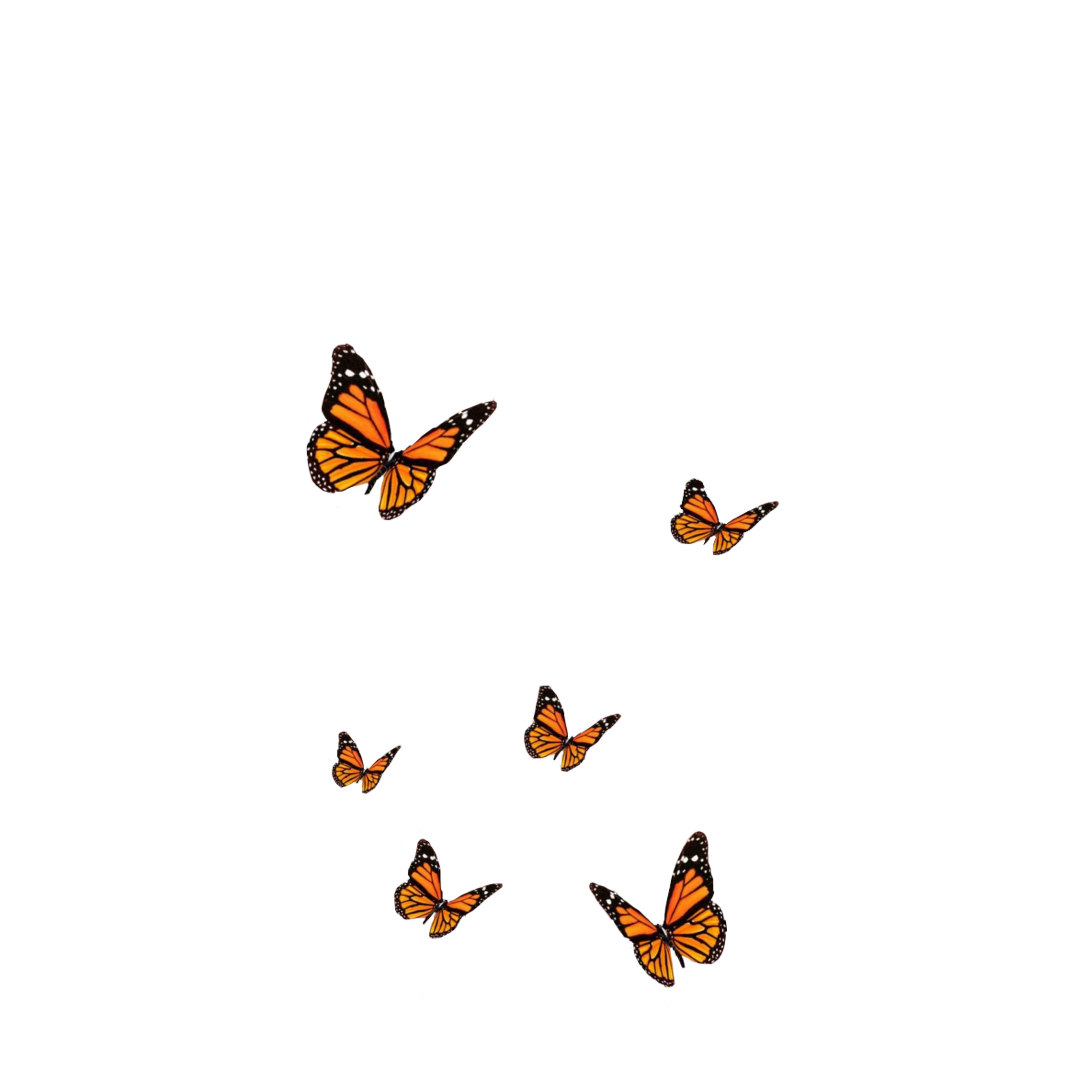 Vsco Butterflys Background Wallpaper Sticker By Heidi