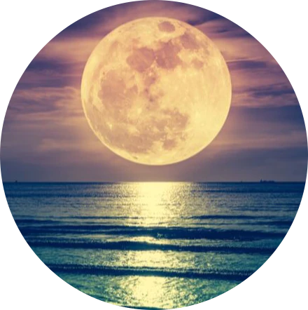 #moon,#sea,#freetoedit,#scmoon