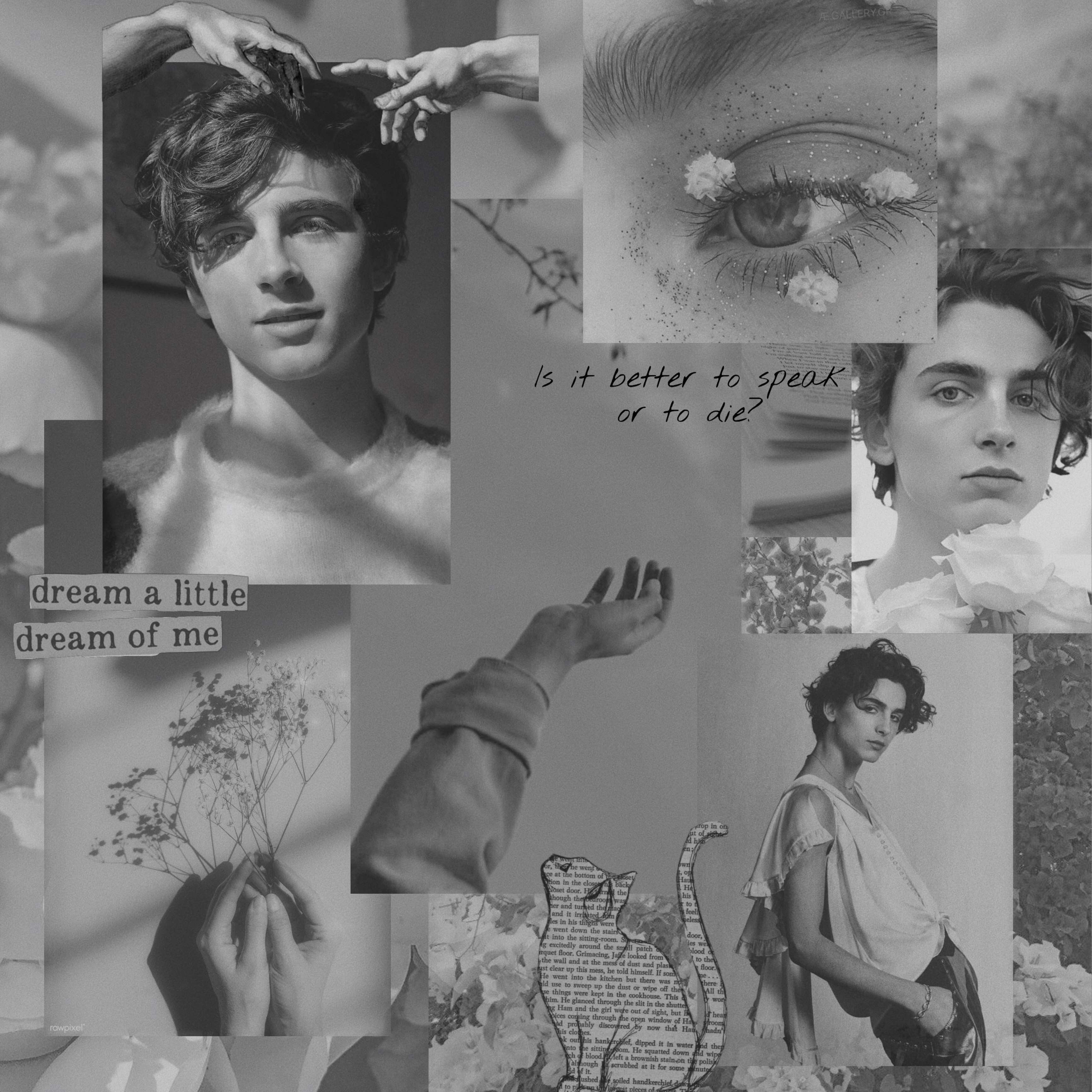 Timotheechalamet Image By 1 800 Toofpasste