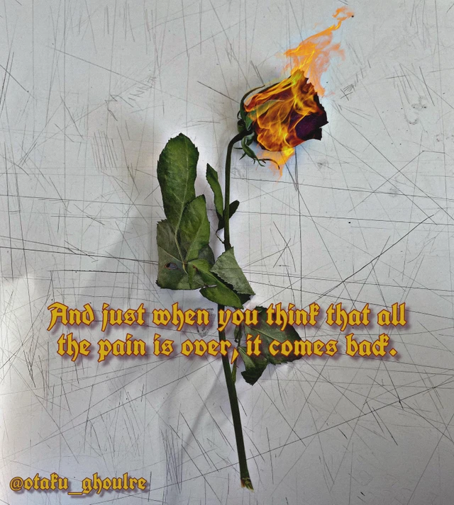 Frasi Photography Edit Image By Erika Frasi Photography Edit Image By Erika