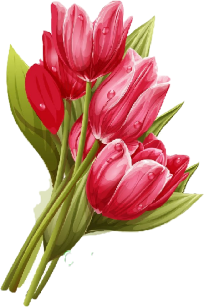 тюльпан freetoedit #тюльпан sticker by @10794556200939633207