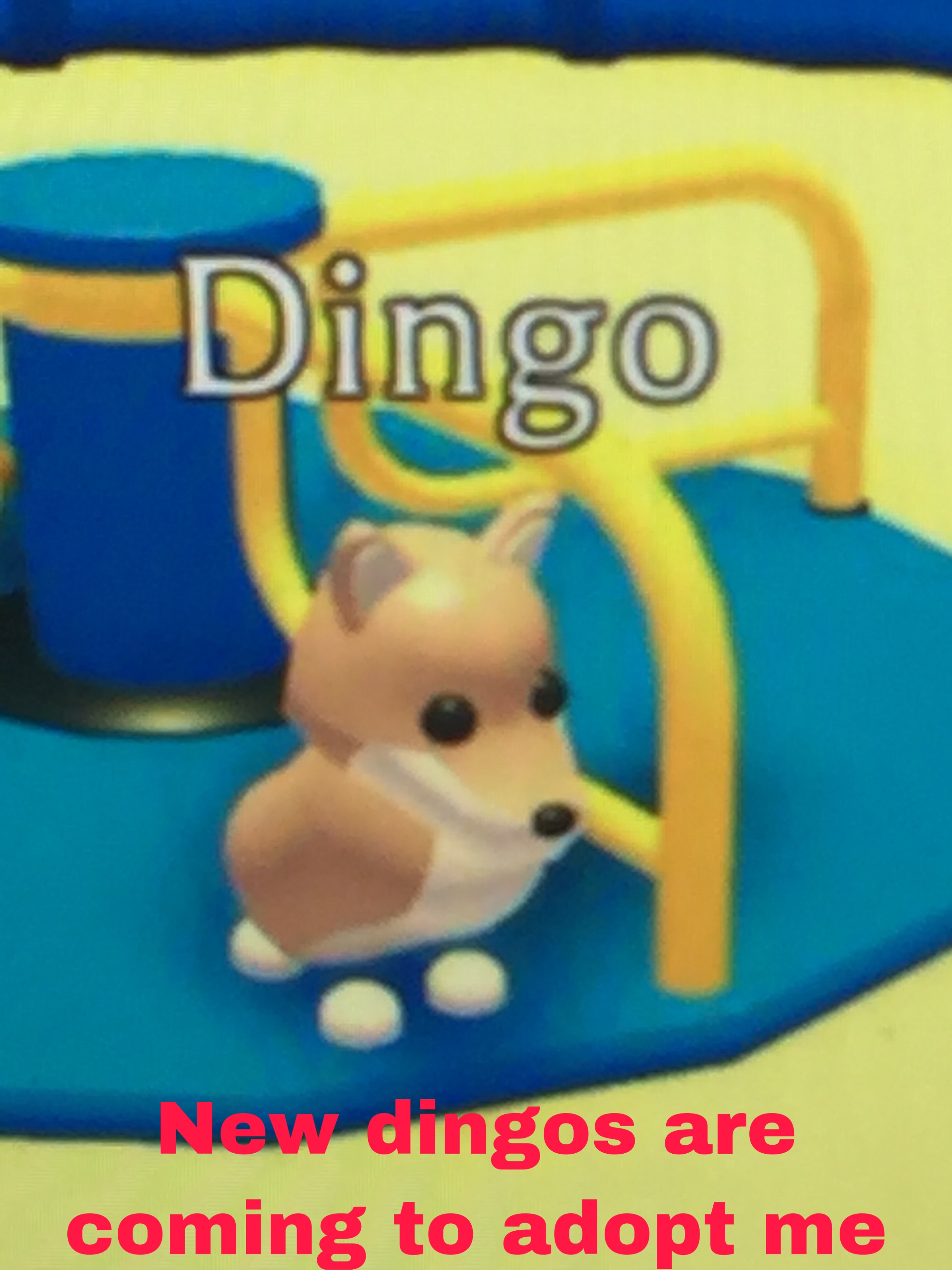 Dingo Adopt Me