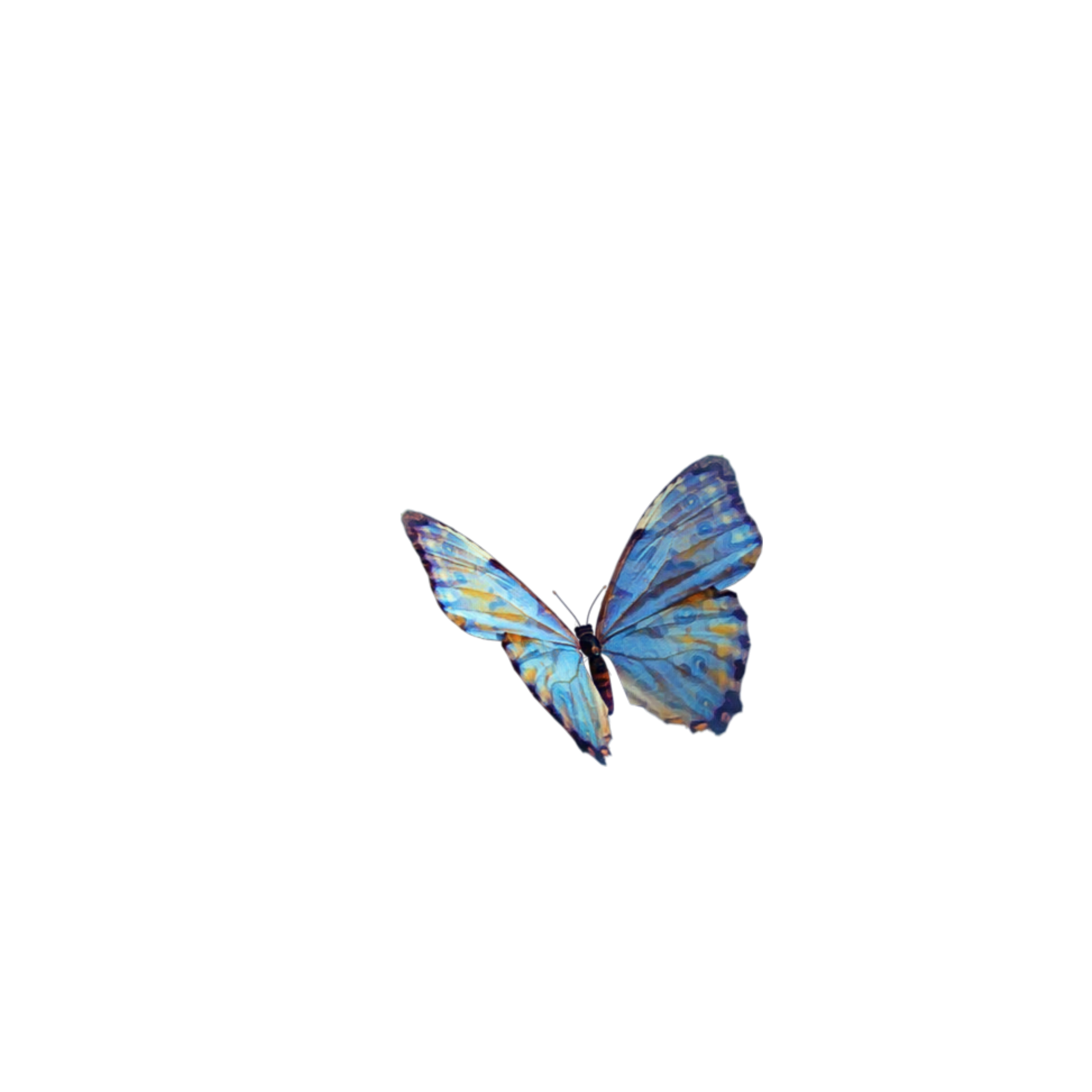 The Coolest Butterfly Stickers on Picsart