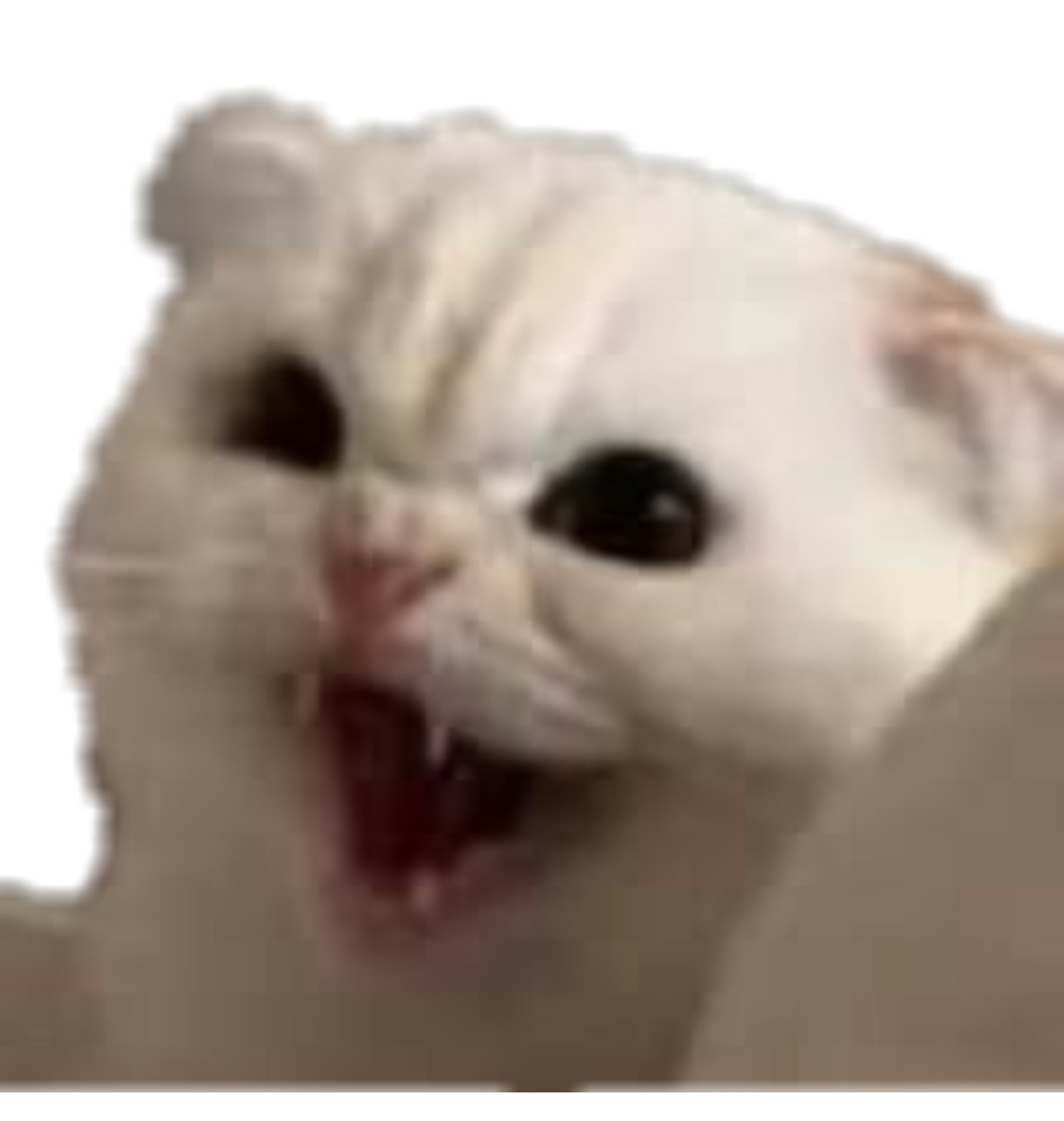 Kitty Fierce Angry Cat By Lissi Schmidt