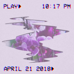 freetoedit lavendercolored nature orchid picsartchallenge vcr aesthetic puddle srcaestheticpuddle aestheticpuddle