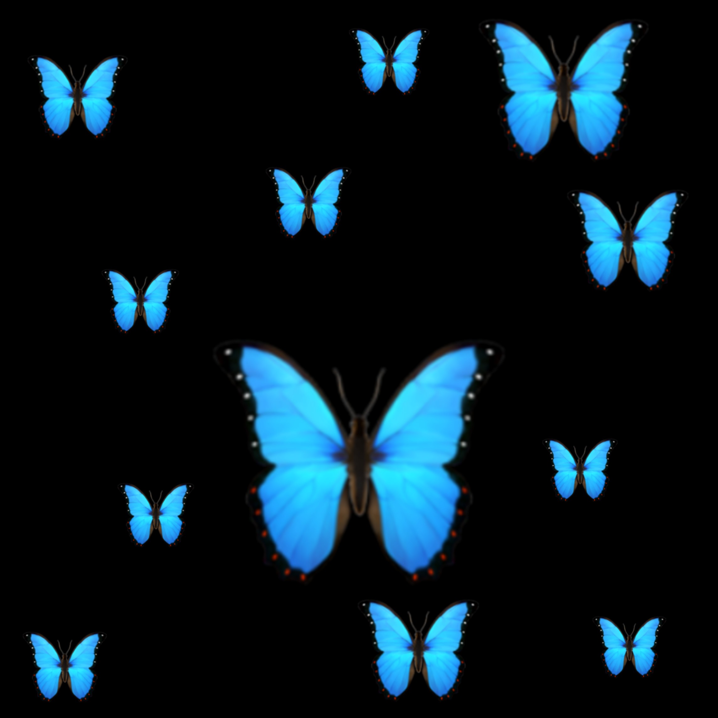 freetoedit papillon 321186458100201 by @luvvcassy 
