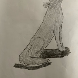 wolf drawing art wolfart schoolart