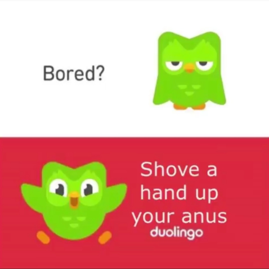 This visual is about Thanks Duolingo.