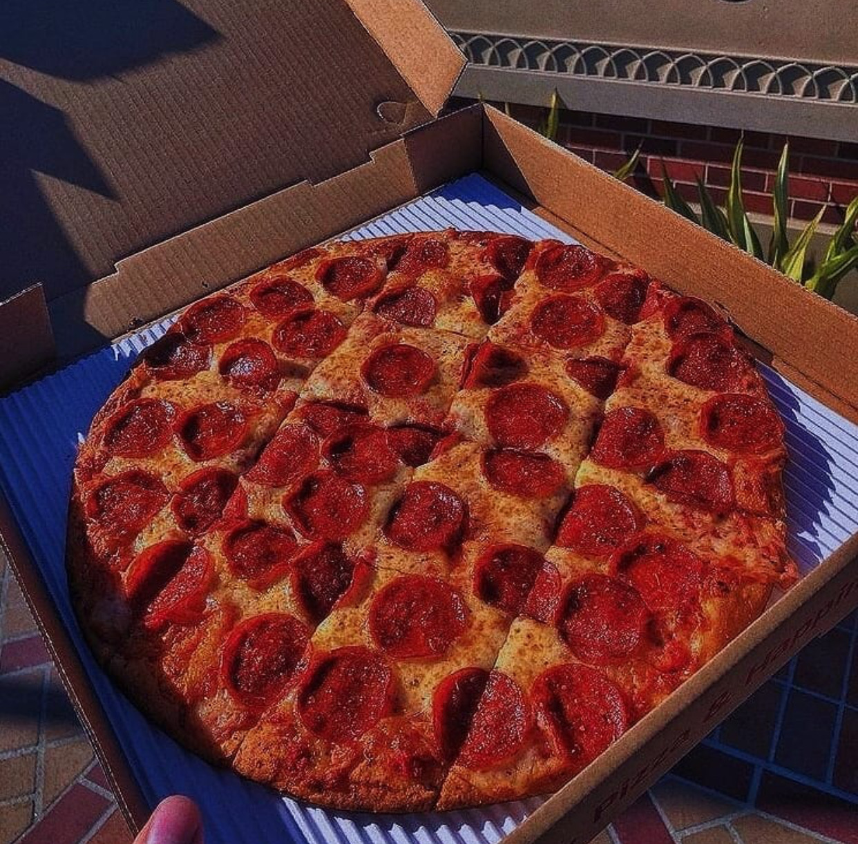 фото пиццы пепперони в коробке фото 11
