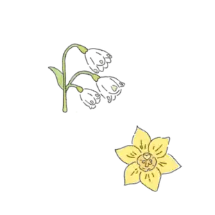 手書き 誕生花 髙橋海人 永瀬廉 By Fukada Ryusei 手書き 誕生花 髙橋海人 永瀬廉 By Fukada Ryusei