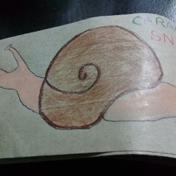 snail caracol dibujoalapiz trabajoescolar cute