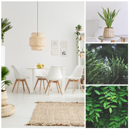 ccgreenaesthetic createfromhome stayinspired green aesthetic