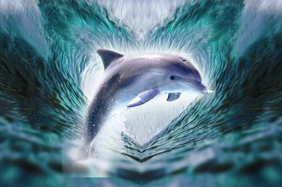 Coeurmerdauphin Image By Emmademeaux Coeurmerdauphin Image By Emmademeaux