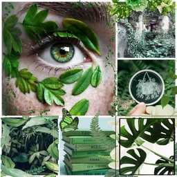 freetoedit greenaesthetic nature greennature aesthetic ccgreenaesthetic createfromhome stayinspired