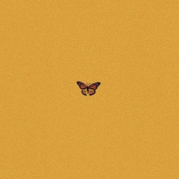butterfly yellow aesthetic