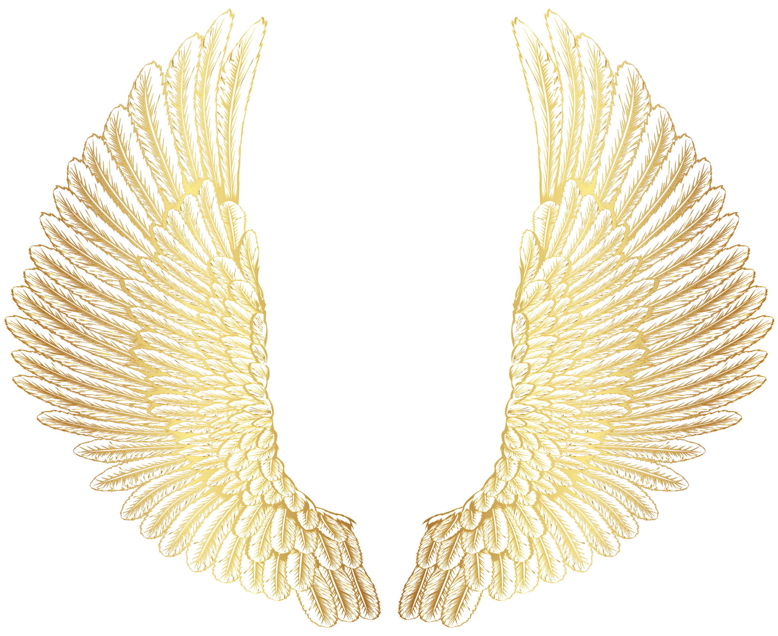 Крылья картинки. Ангельские Крылья. Золотистые Крылья. Золотые Крылья ангела. Крылышки ангела.