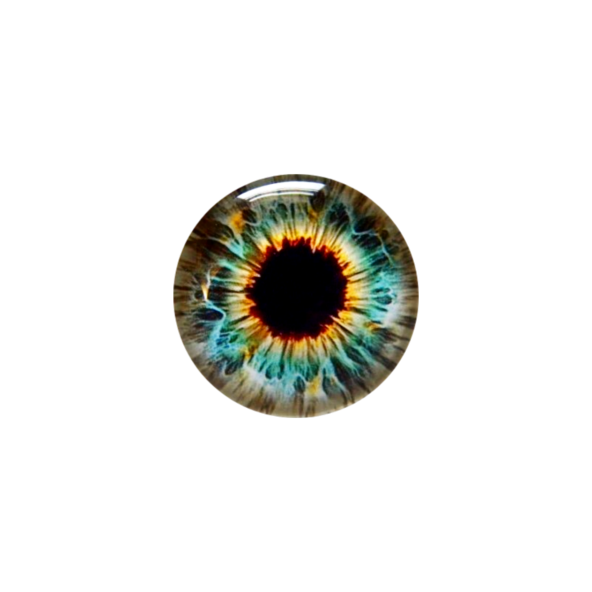 eye eyes yellow blue like freetoedit sticker by idealartz