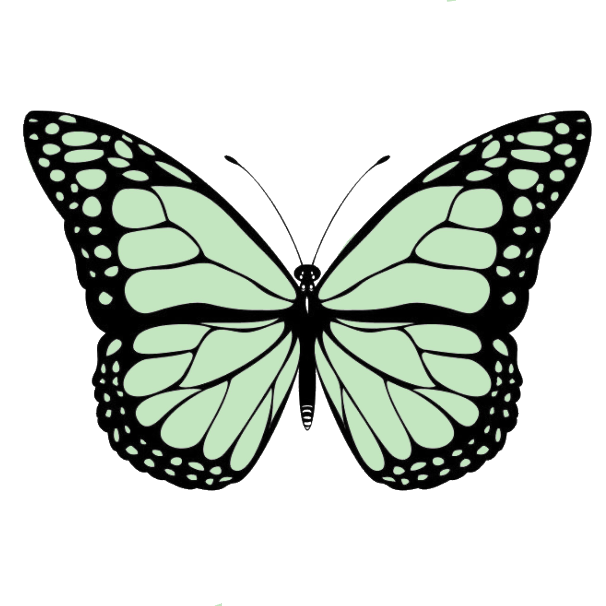 Butterfly Butterflys Green Sticker By Amaliamvria