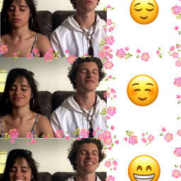 shawmila4ever mendesarmy camilizers shawnmendes camilacabello freetoedit
