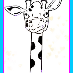giraffe lovethem