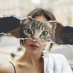 freetoedit cat stayinspired tornpaper madewithpicsart fcstayinspired createfromhome