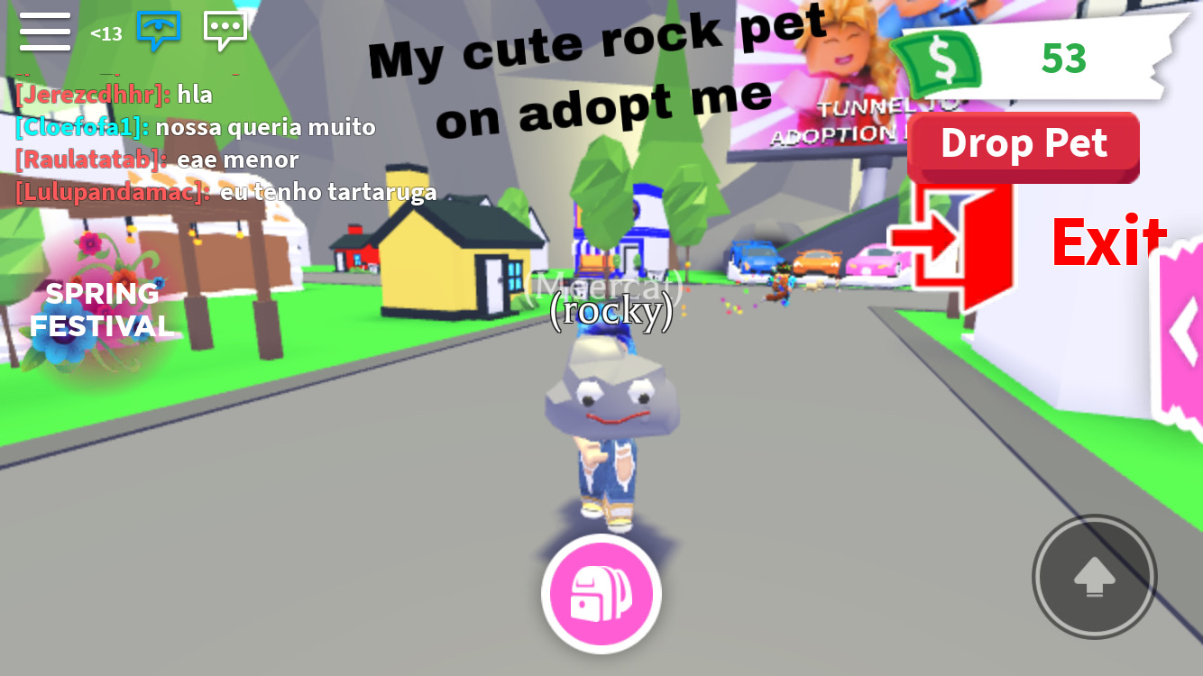 roblox adopt me pet rock