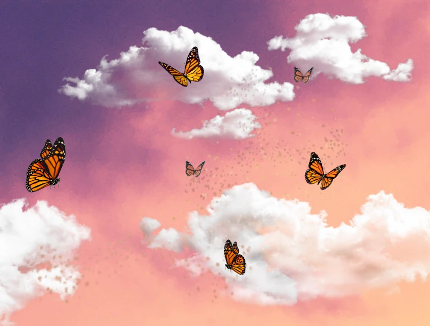 Aesthetic Butterflies Sunset Clouds Image By Tatertot