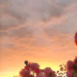 flower aesthetic sunset tumblr wallpaper