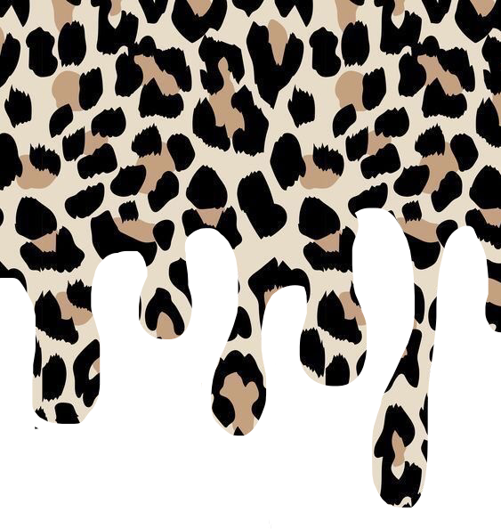 20 Vsco pictures ideas  cheetah print wallpaper vsco pictures animal  print wallpaper