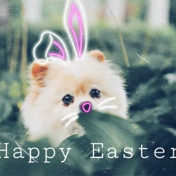 freetoedit easter cute puppy vote srcbunnyears bunnyears