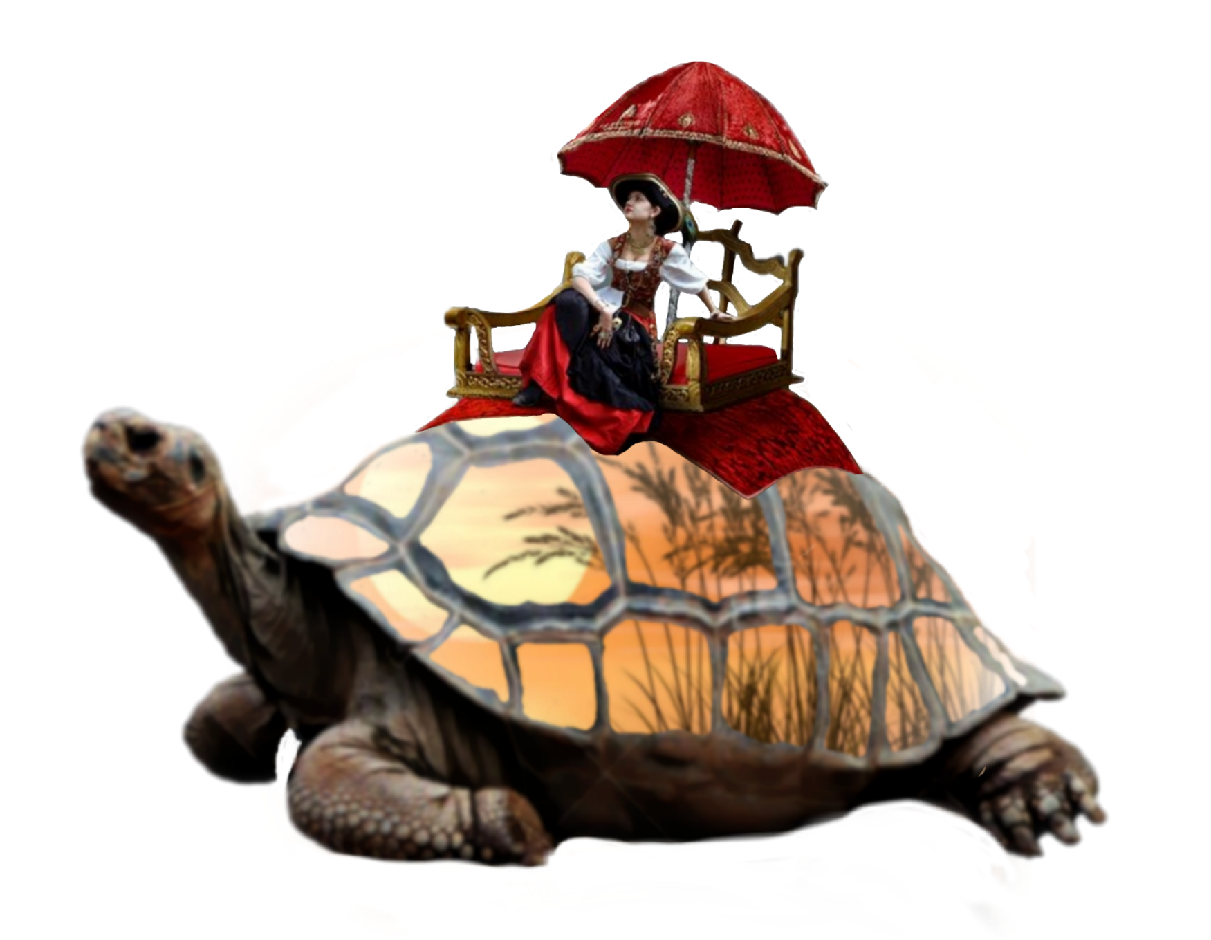 surreal-turtle-freetoedit-surreal-sticker-by-simonevdw