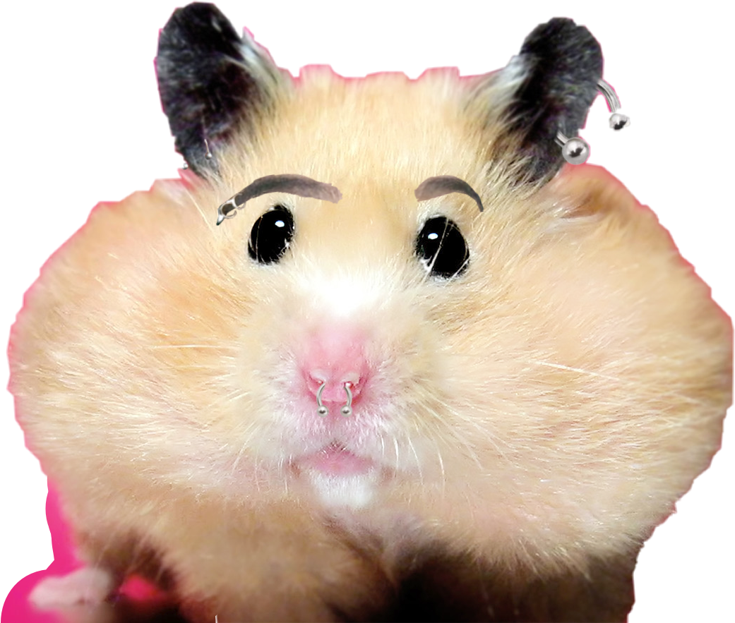 freetoeditcollection hamsters fyp sticker by majorskids05