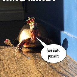 freetoedit turtle king mikey